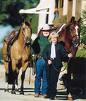 reining on rhett, national reining horse association, NRHA, colleen and time mcquay, shawn flarida, half arabian reining