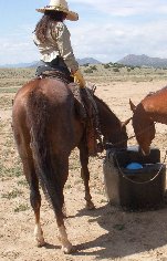 An automatic waterer at the Movie Set was just the ticket!  No carrying buckets, and the horses would much rather drink their own water!