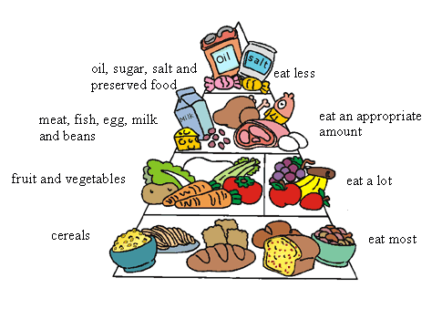 ... balanced diet chart description nhs direct wales encyclopaedia diet