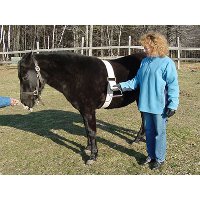 When riding on a bareback pad, mounting out in the field can be a  problem; this device is good, but not long enough to fit over a bareback pad