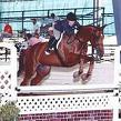 reining on rhett, national reining horse association, NRHA, colleen mcquay jumping, shawn flarida, half arabian reining