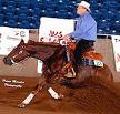 Dell Hendricks Sliding Stop, NRHA, Reining on Rhett