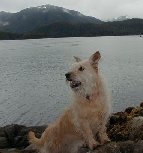 Dorothy in Sitka Alaska, Whale Park