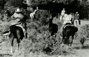 Experienced horseback rides are enjoyed at Markarios ranch!  Horseback riding Santa Fe New Mexico area.