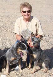 Belen NM Agility Trial -- Toni, Sancho, & Shiner