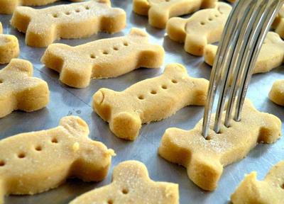 Dog Treats Dog Biscuits