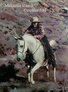 Experienced horseback rides occasionally go as far north as Ghost Ranch, Abiquiu NM, home of Georgia O'Keeffe.