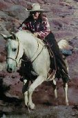 Whinny galloping up Blue Hill, Ghost Ranch, Abiquiu NM; before equine melanoma