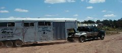 The buffalo capture was finished, and they returned to their home at the New Mexico State Prison The buffalo capture was finished, and they returned to their home at the New Mexico State Prison