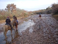 Riding the Galisteo River in autumn, from the Makarios Ranch heading west.  Experienced Horseback Rides all four seasons.