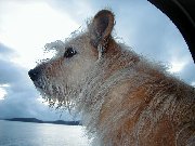 Dorothy in Sitka Alaska, 2000