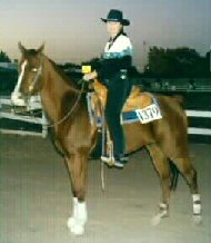 reining on rhett, national reining horse association, NRHA, shawn flarida, half arabian reining